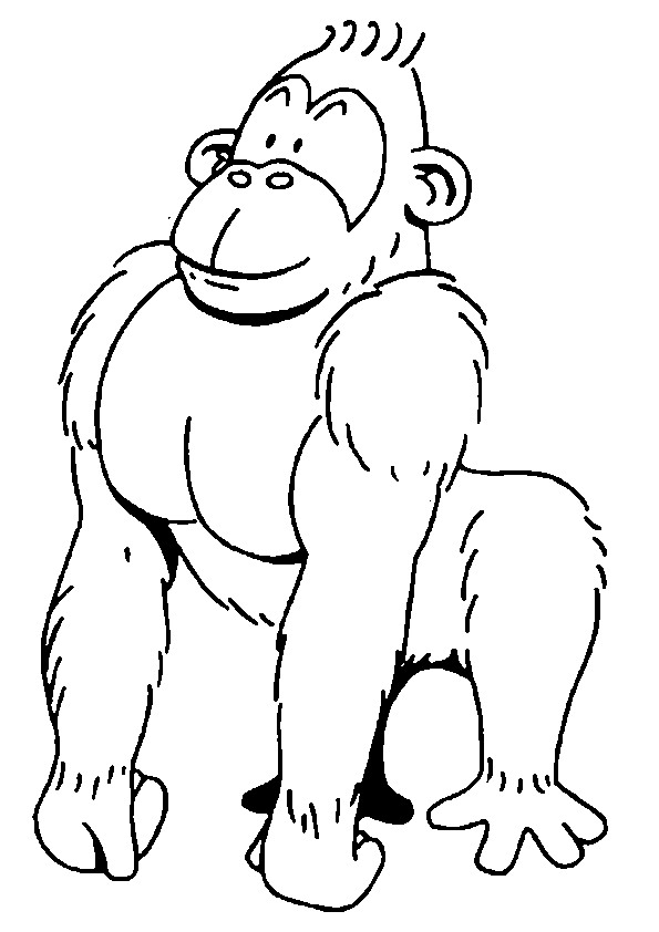 Kids-n-fun.com | 34 coloring pages of Monkeys