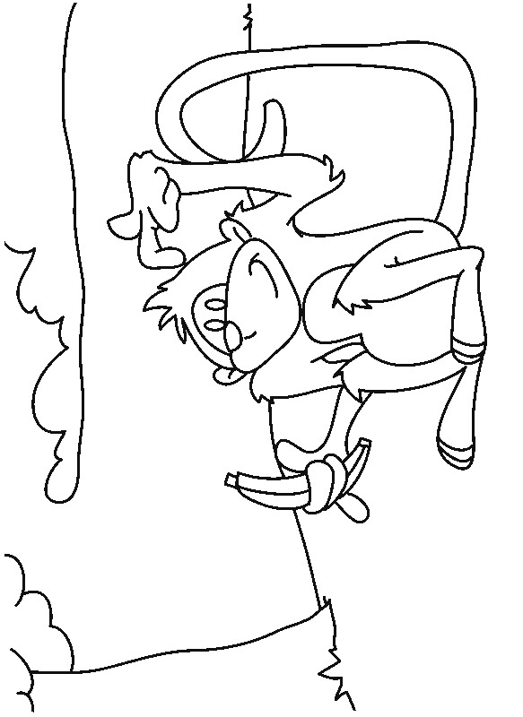 Kids-n-fun.com | 34 coloring pages of Monkeys