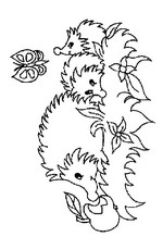 Coloring Pages Hedgehog