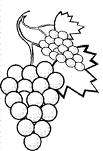 Kids-n-fun | 12 coloring pages of Fruit