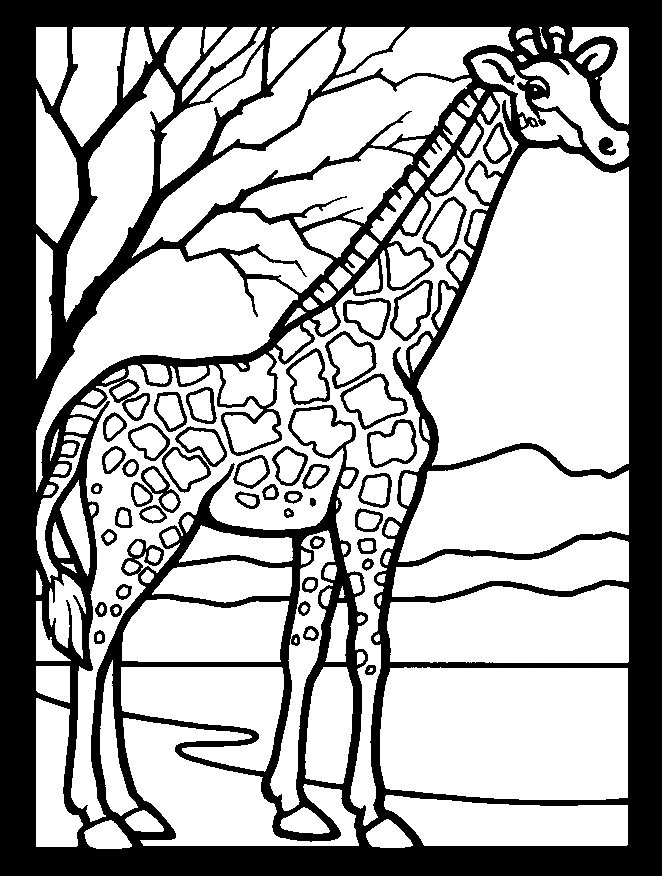 641 Animal How To Make Online Coloring Pages for Kids
