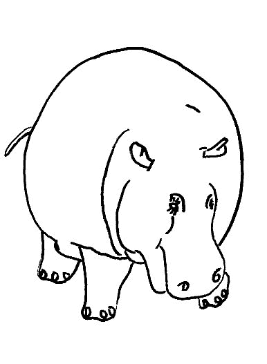 Kids-n-fun.com | 18 coloring pages of Hippos