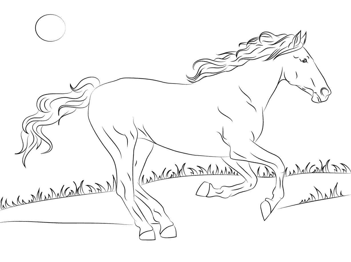 Kids-n-fun.com | 30 coloring pages of Horse breeds