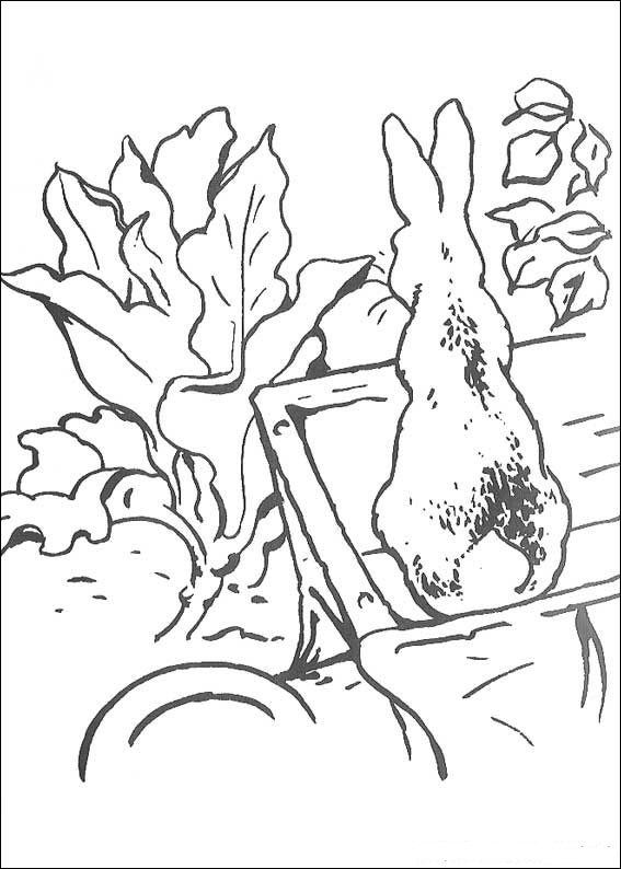 Kids-n-fun.com | 29 coloring pages of Peter Rabbit