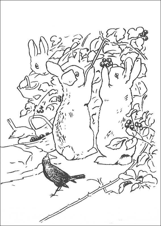 Kids-n-fun.com | 29 coloring pages of Peter Rabbit