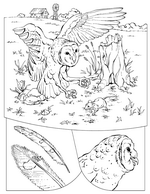 Kids-n-fun | 8 coloring pages of Owls