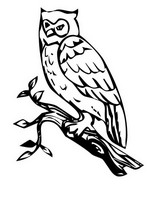 Kids-n-fun | 8 coloring pages of Owls