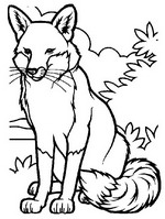 Kids-n-fun | 18 coloring pages of Foxes