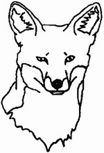 Kids-n-fun | 18 coloring pages of Foxes