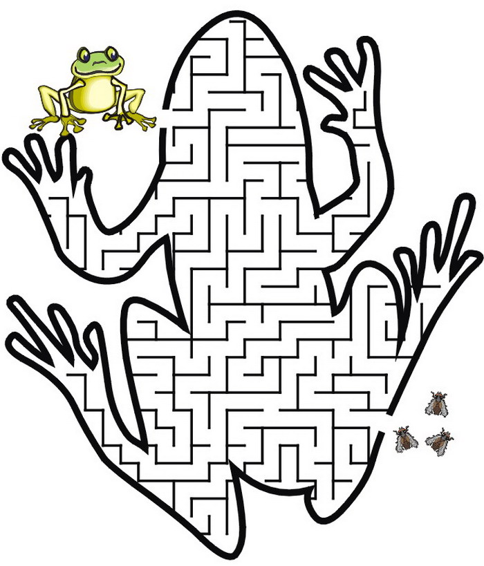 kids-n-fun-puzzels-maze-maze-frog
