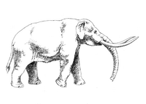 Kids-n-fun | 10 coloring pages of Animals of the Ice Age