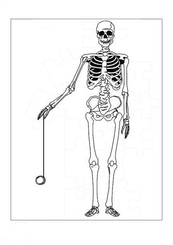 human body coloring page