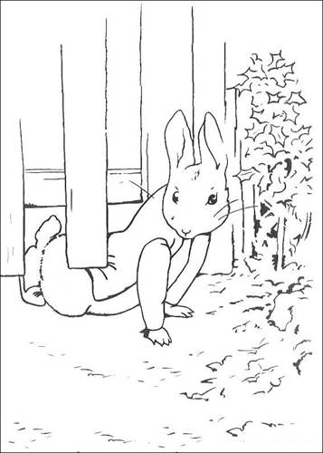 Kids n fun 29 Coloring Pages Of Peter Rabbit
