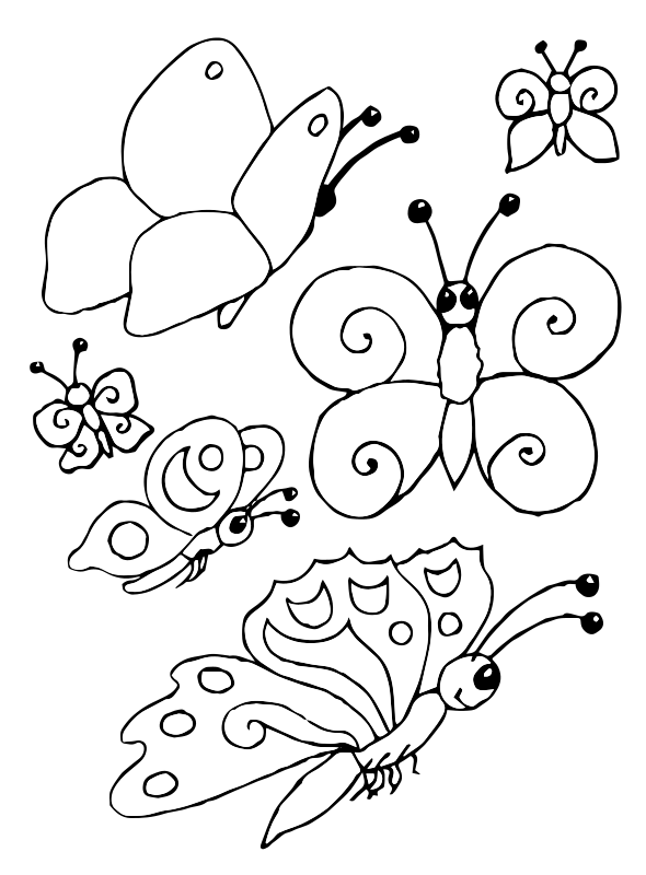 Раскраска "бабочки". Бабочка раскраска для детей. Раскраска насекомые для малышей. Насекомые раскраска для детей. Раскраски насекомые для детей 3 4