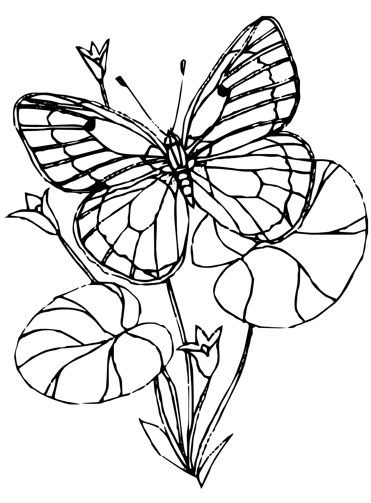 Butterfly Coloring Pages Kids Coloring Home Images