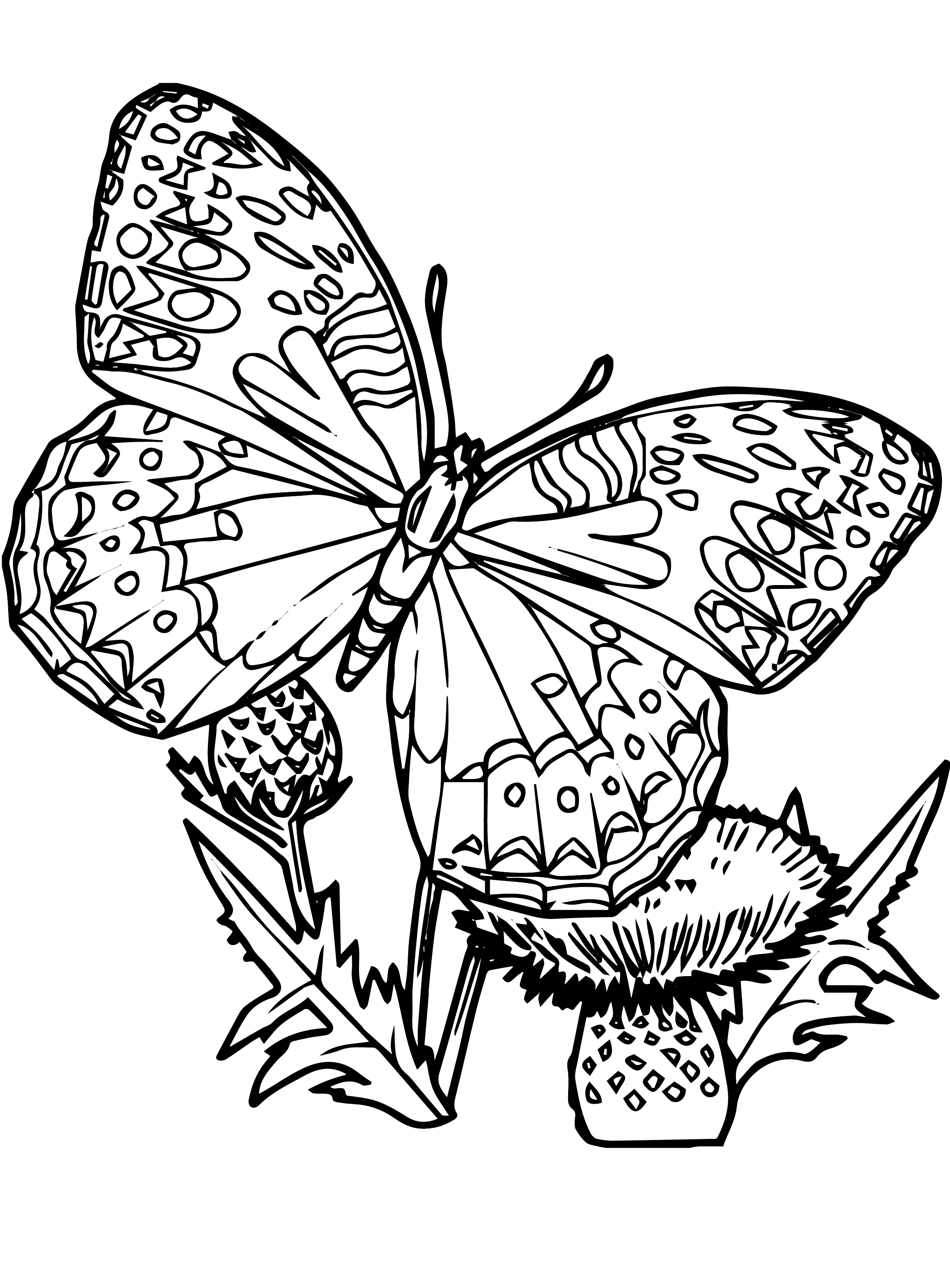 Butterflies Coloring Pages Free Printable Butterfly C - vrogue.co